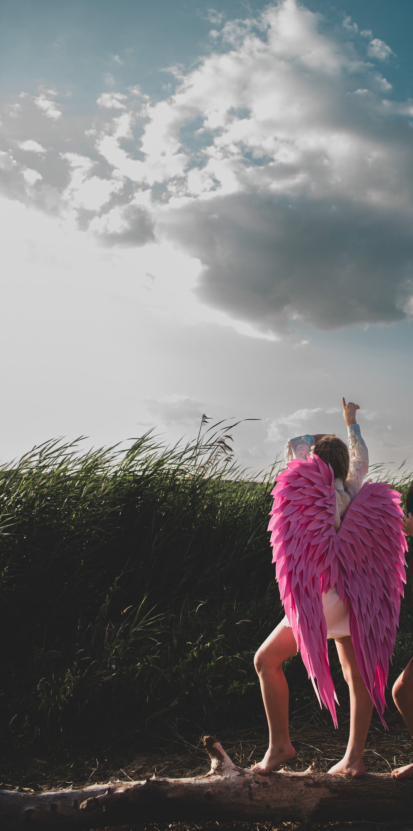 Pink Angel Wings for kids Cosplay "Bogacci brand"