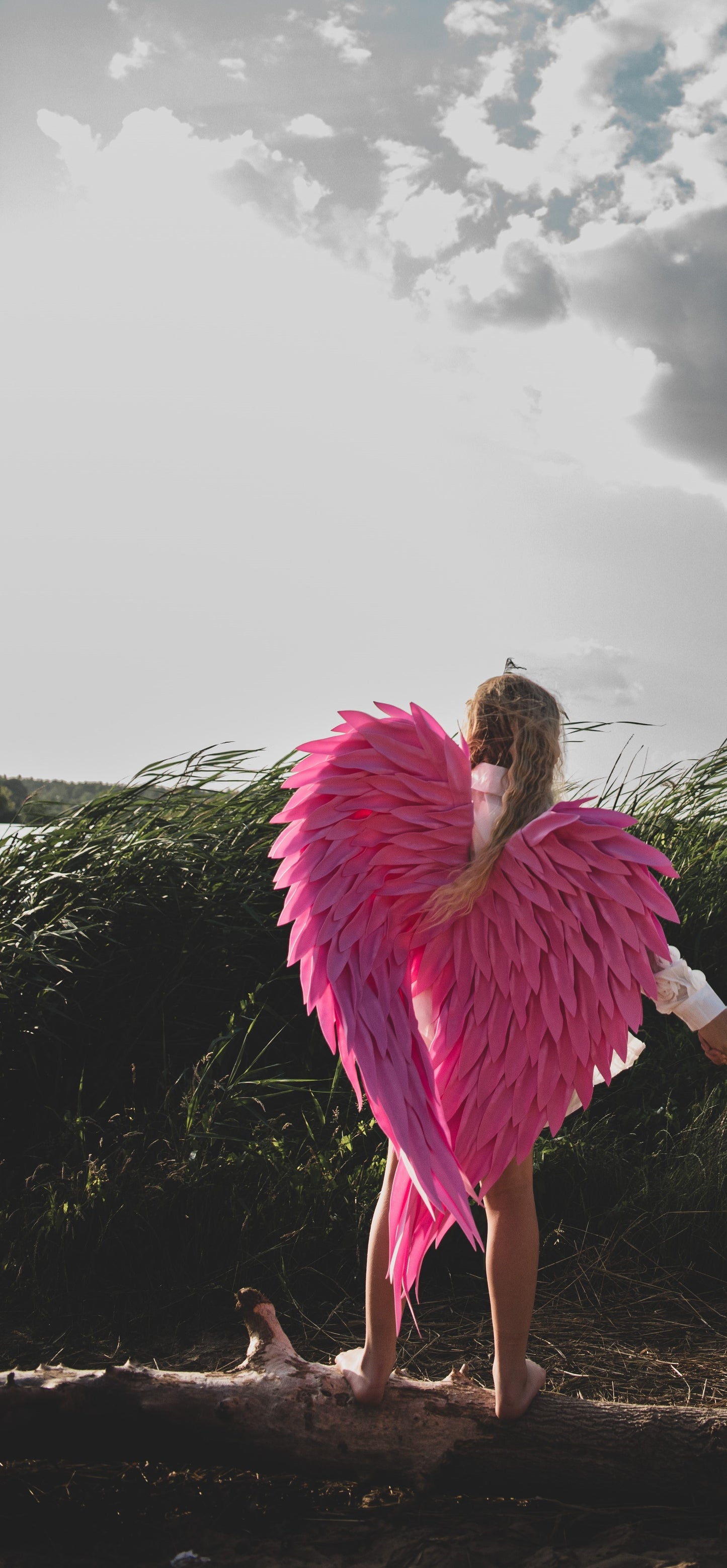Pink Angel Wings for kids Cosplay "Bogacci brand"