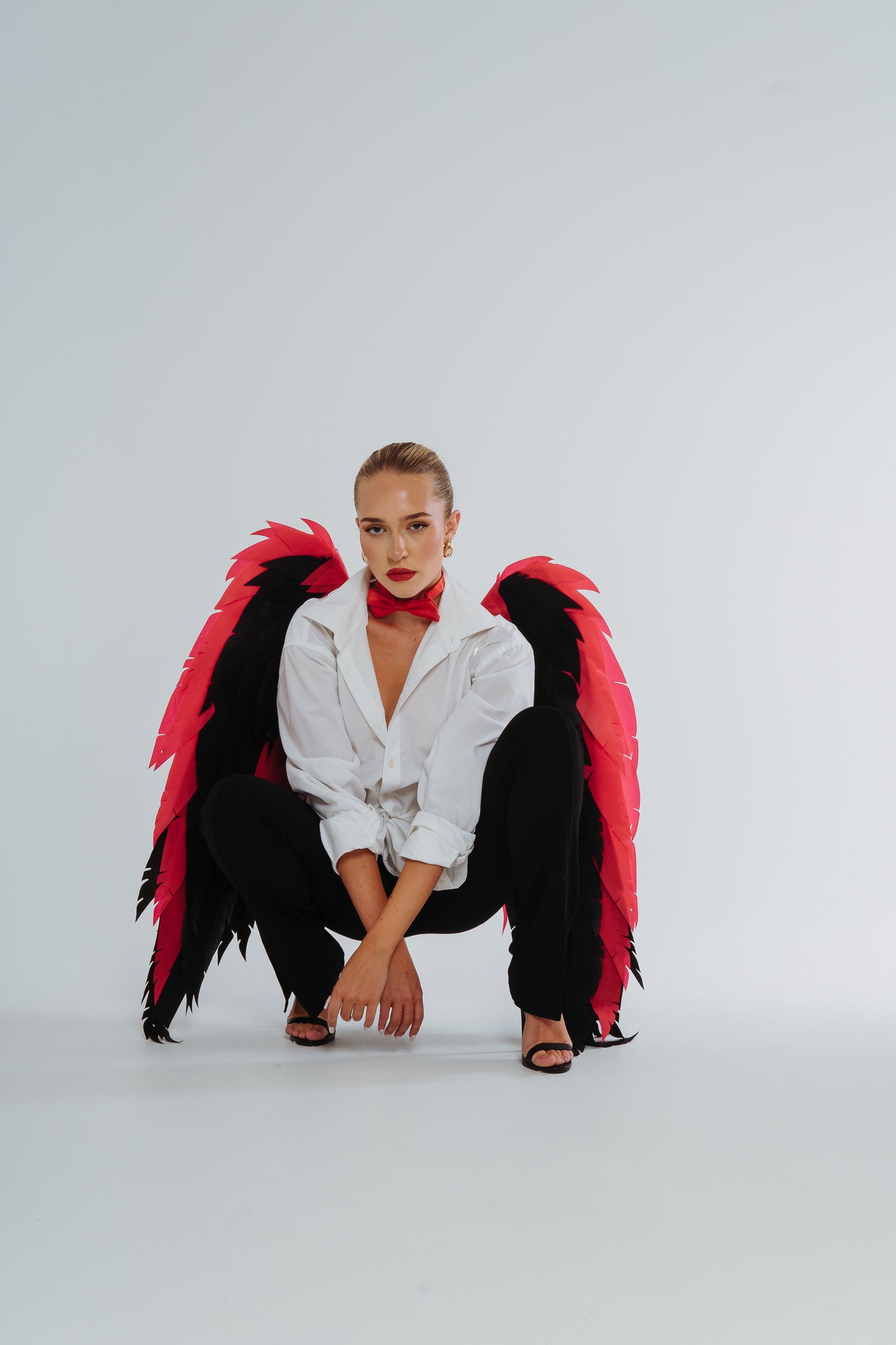 Husk cosplay wings Costume Cosplay "Bogacci brand"
