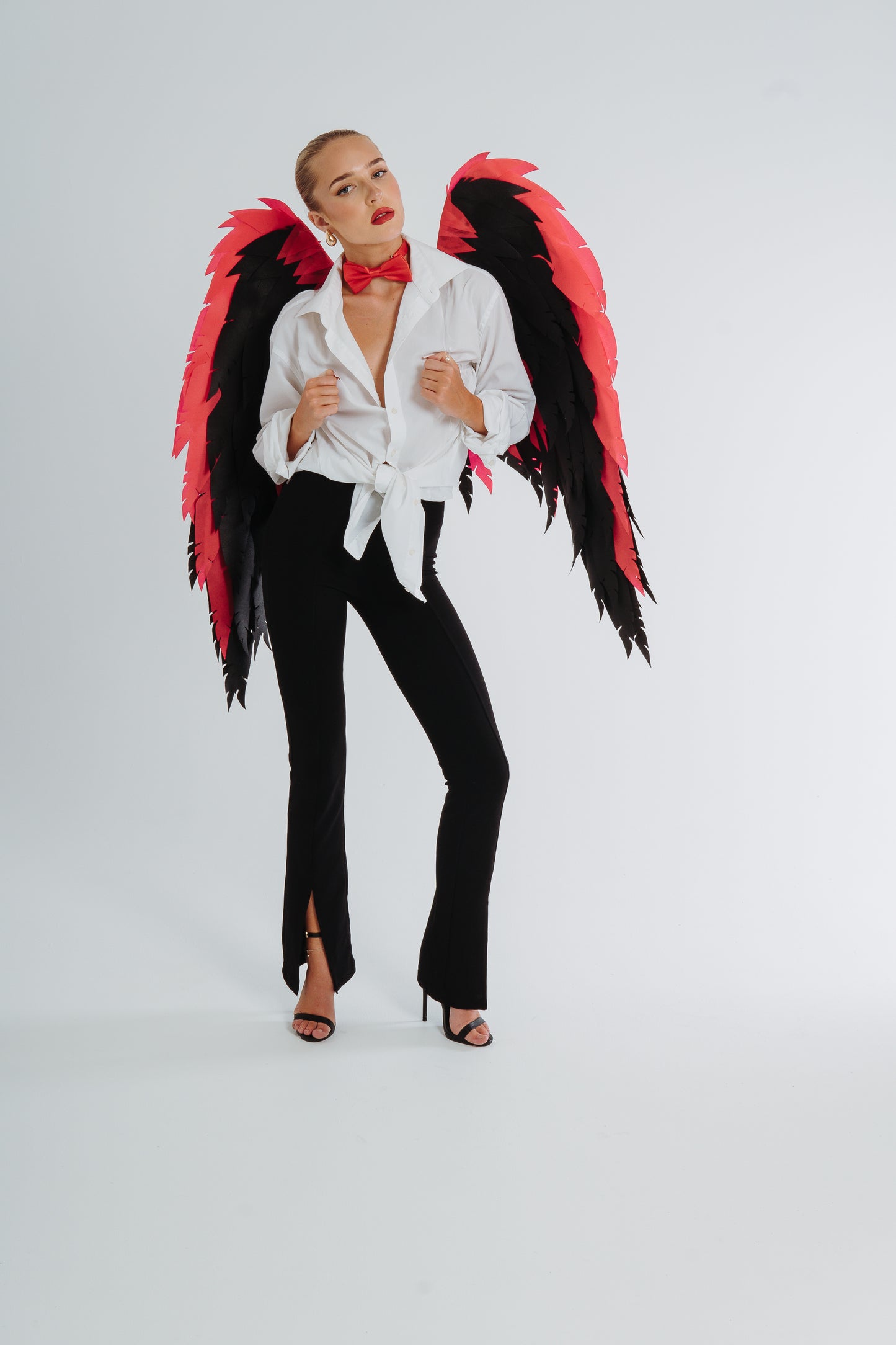 Husk cosplay wings Costume Cosplay "Bogacci brand"