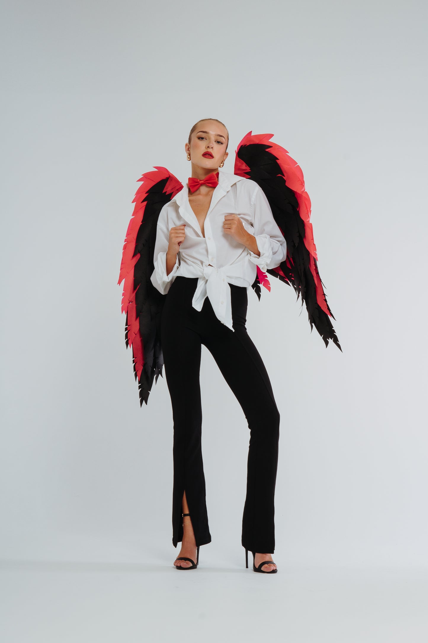 Husk cosplay wings Costume Cosplay "Bogacci brand"