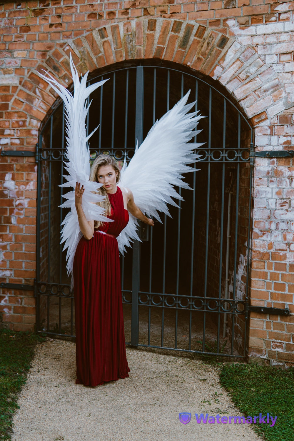 Angel wings costume "Bogacci brand"