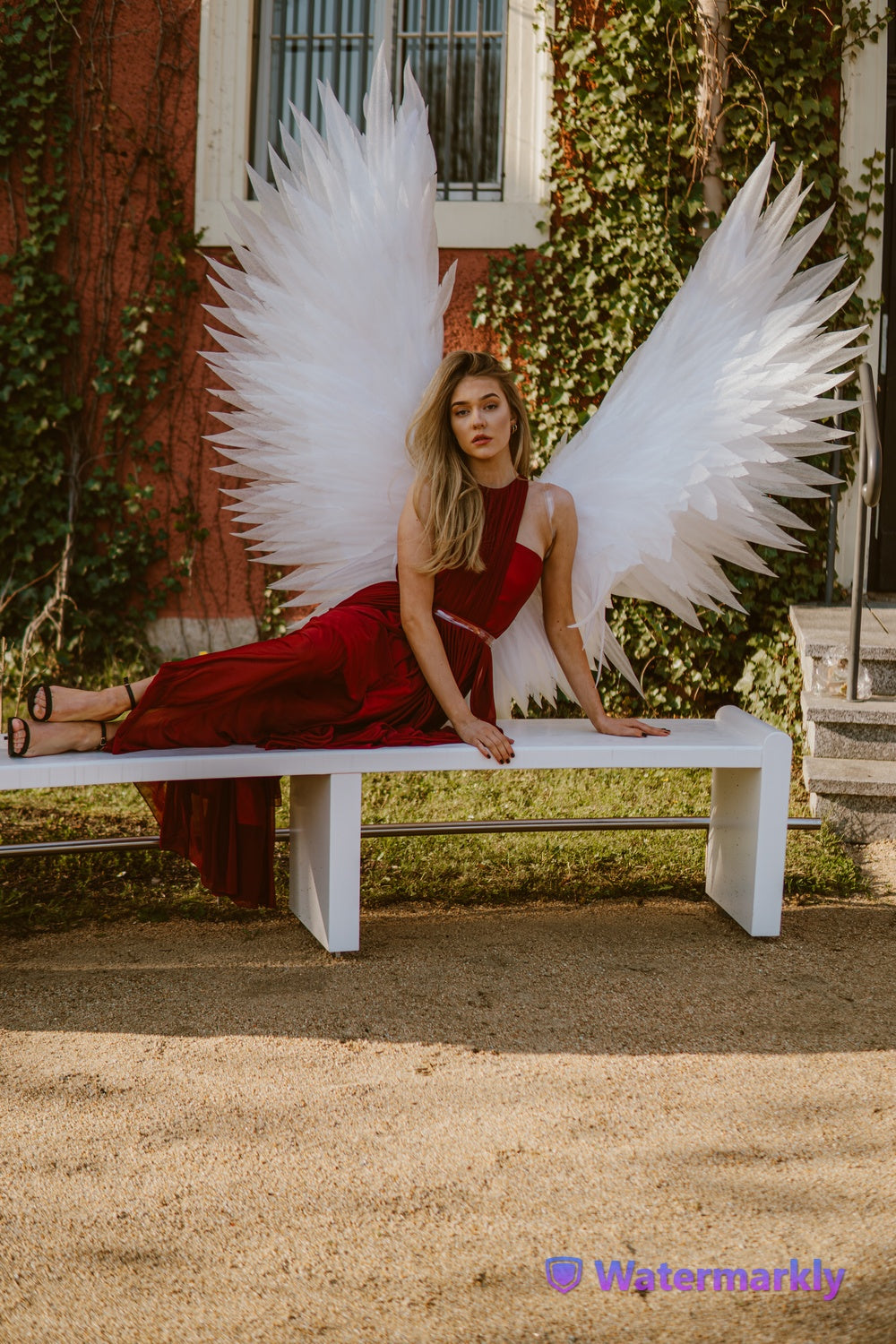 Angel wings costume "Bogacci brand"