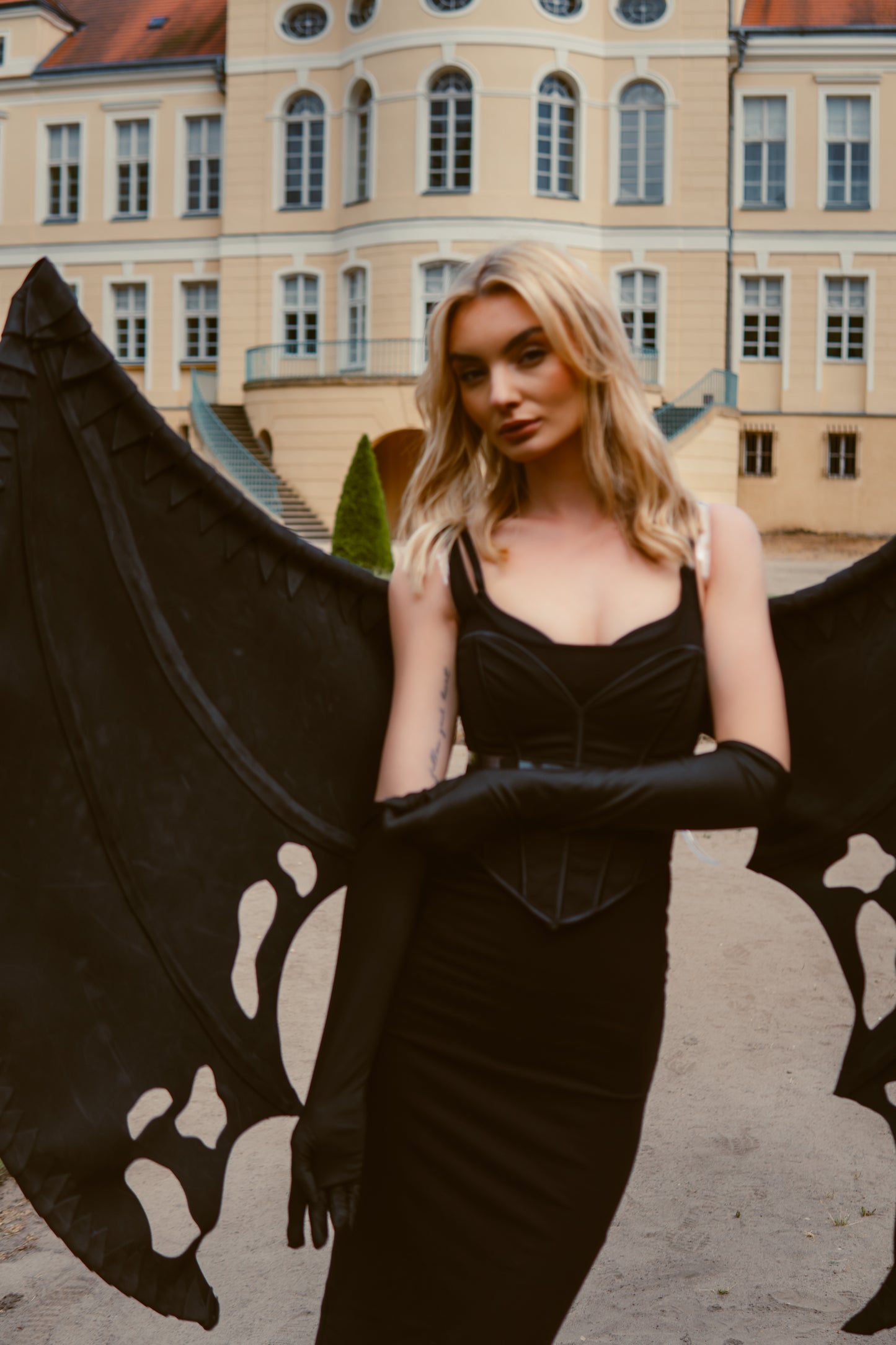 Dragon Wings Costume Cosplay "Bogacci brand"