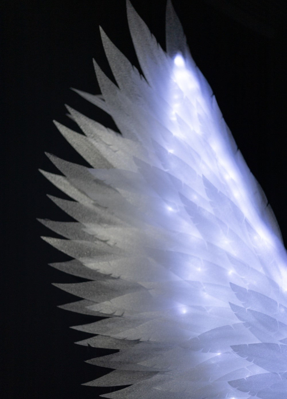 Led large Angel Wings "Bogacci brand"