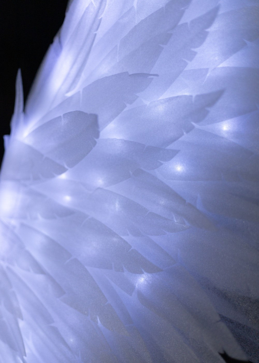 Led large Angel Wings "Bogacci brand"