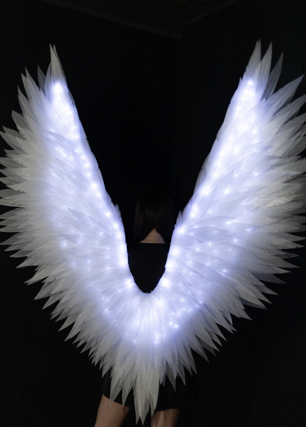 Led large Angel Wings "Bogacci brand"