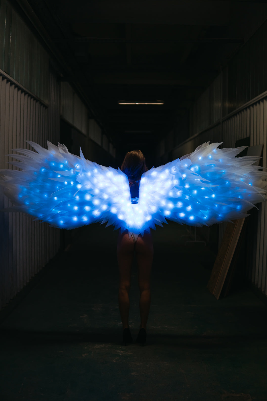 Led White Angel wings  "Bogacci brand"