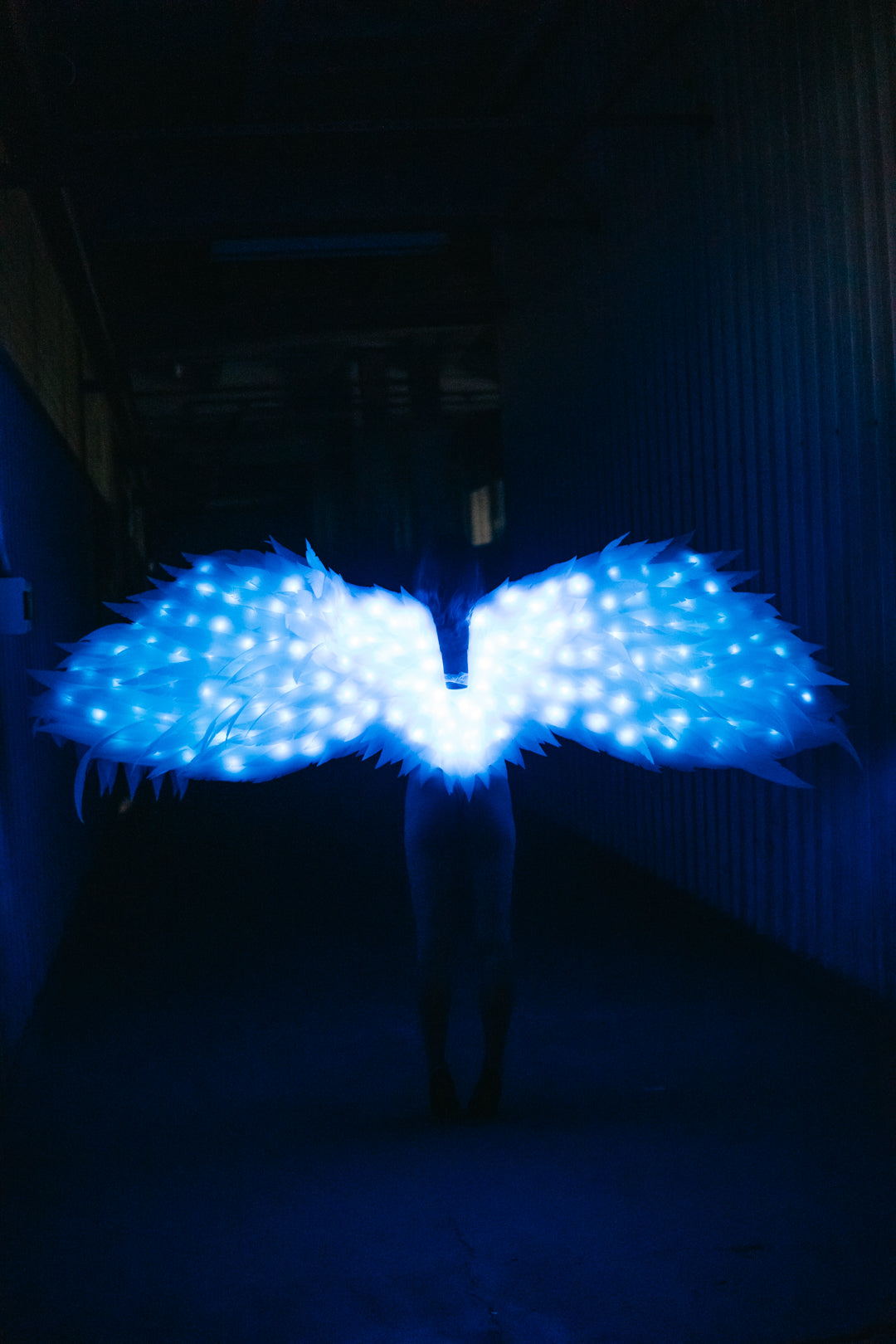 Led White Angel wings  "Bogacci brand"