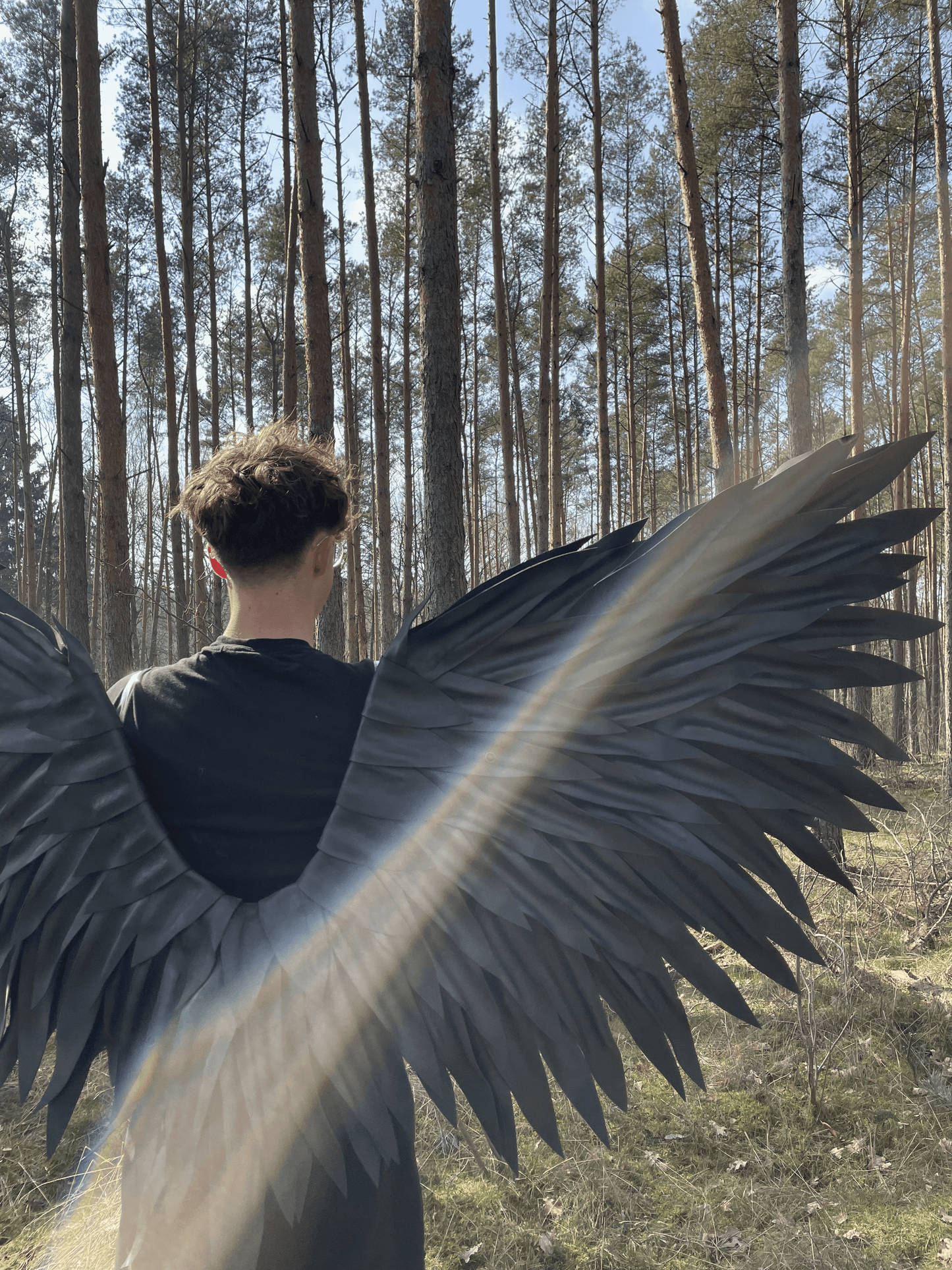 Black Angel Wings Cosplay "Bogacci brand"