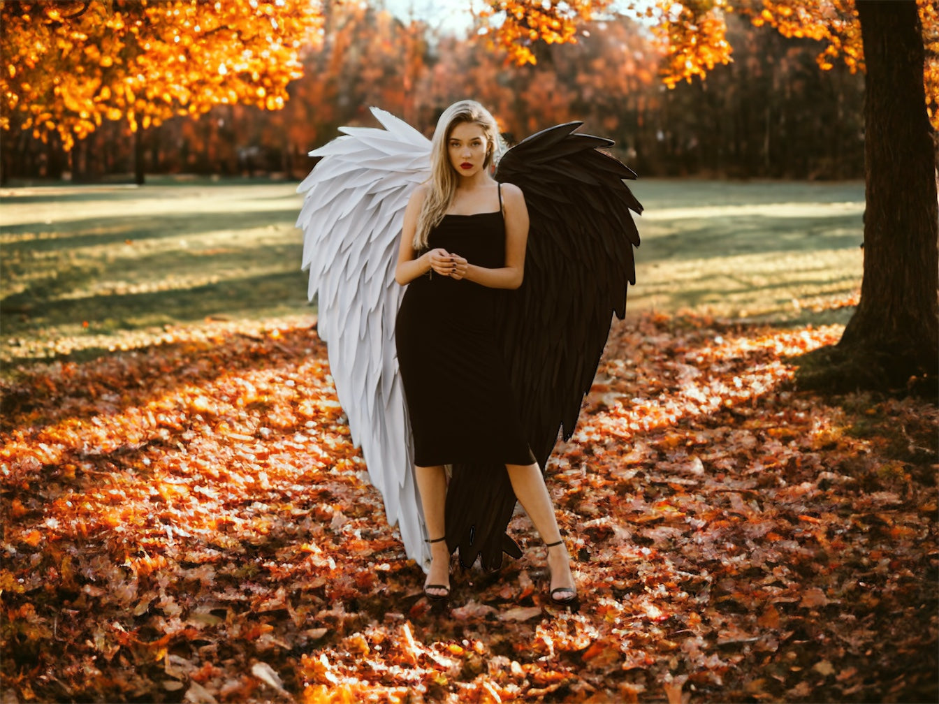 Black Angel Wings Cosplay Sexy Costume for a photo shoot – Bogacci brand