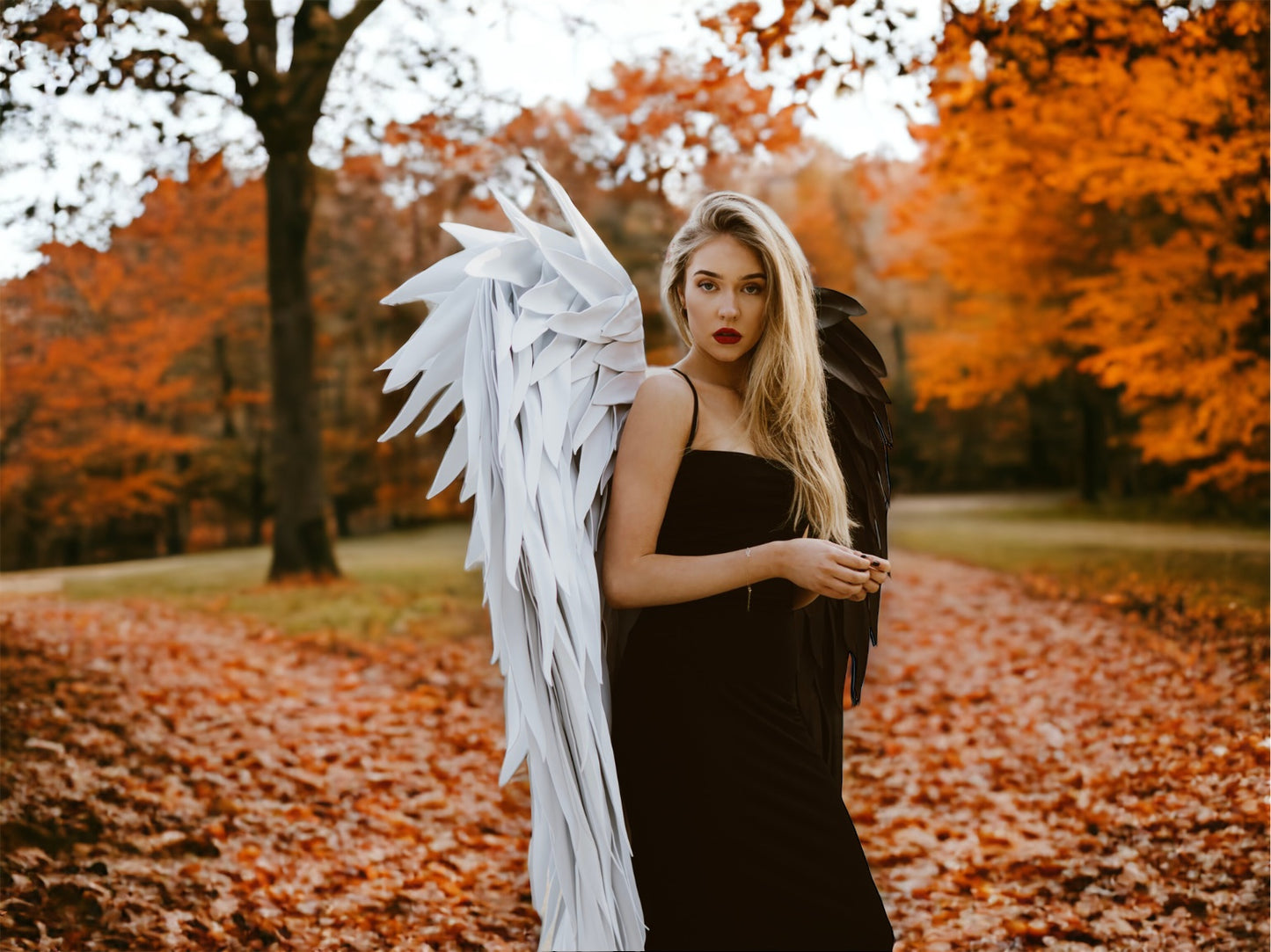 Black/White Angel Wings Cosplay "Bogacci brand"