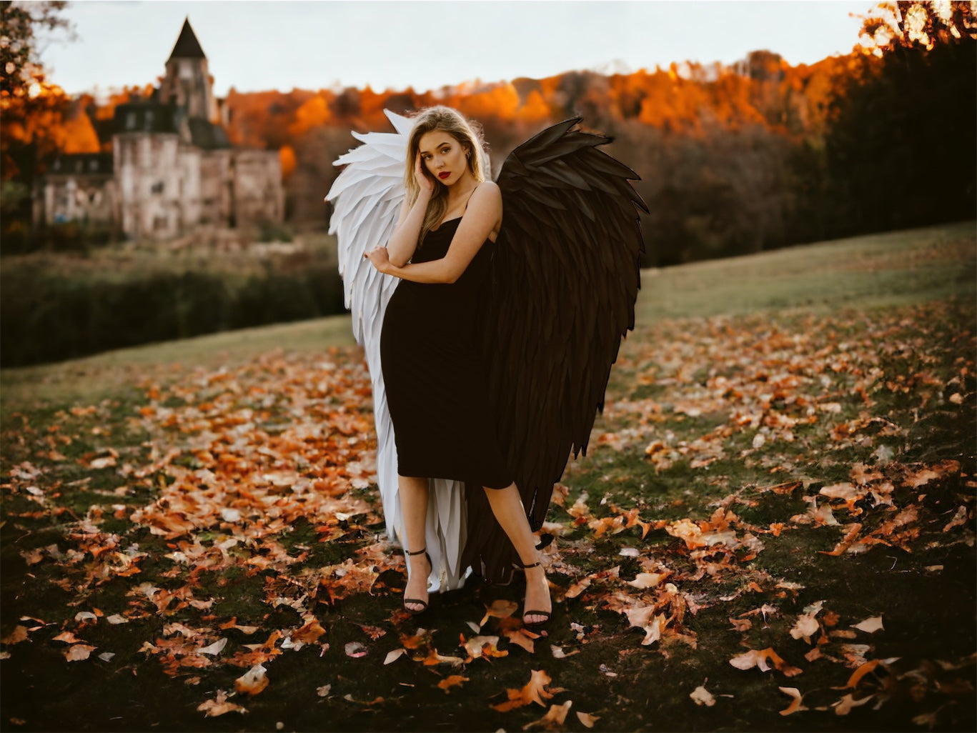Black/White Angel Wings Cosplay "Bogacci brand"