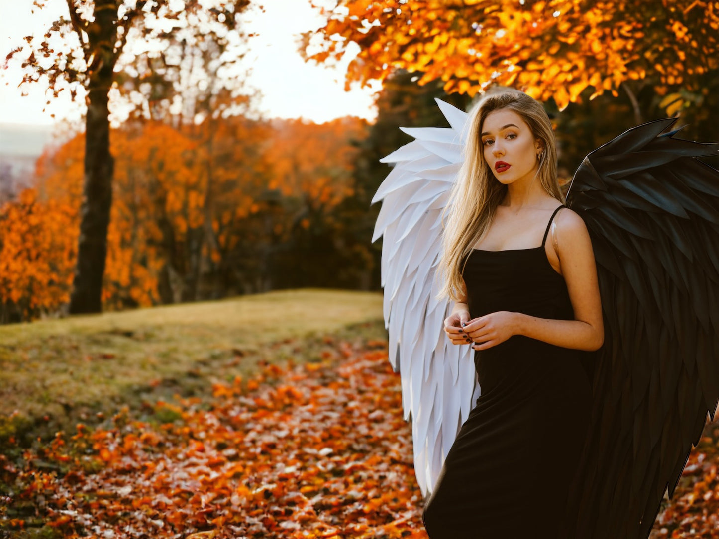 Black/White Angel Wings Cosplay "Bogacci brand"