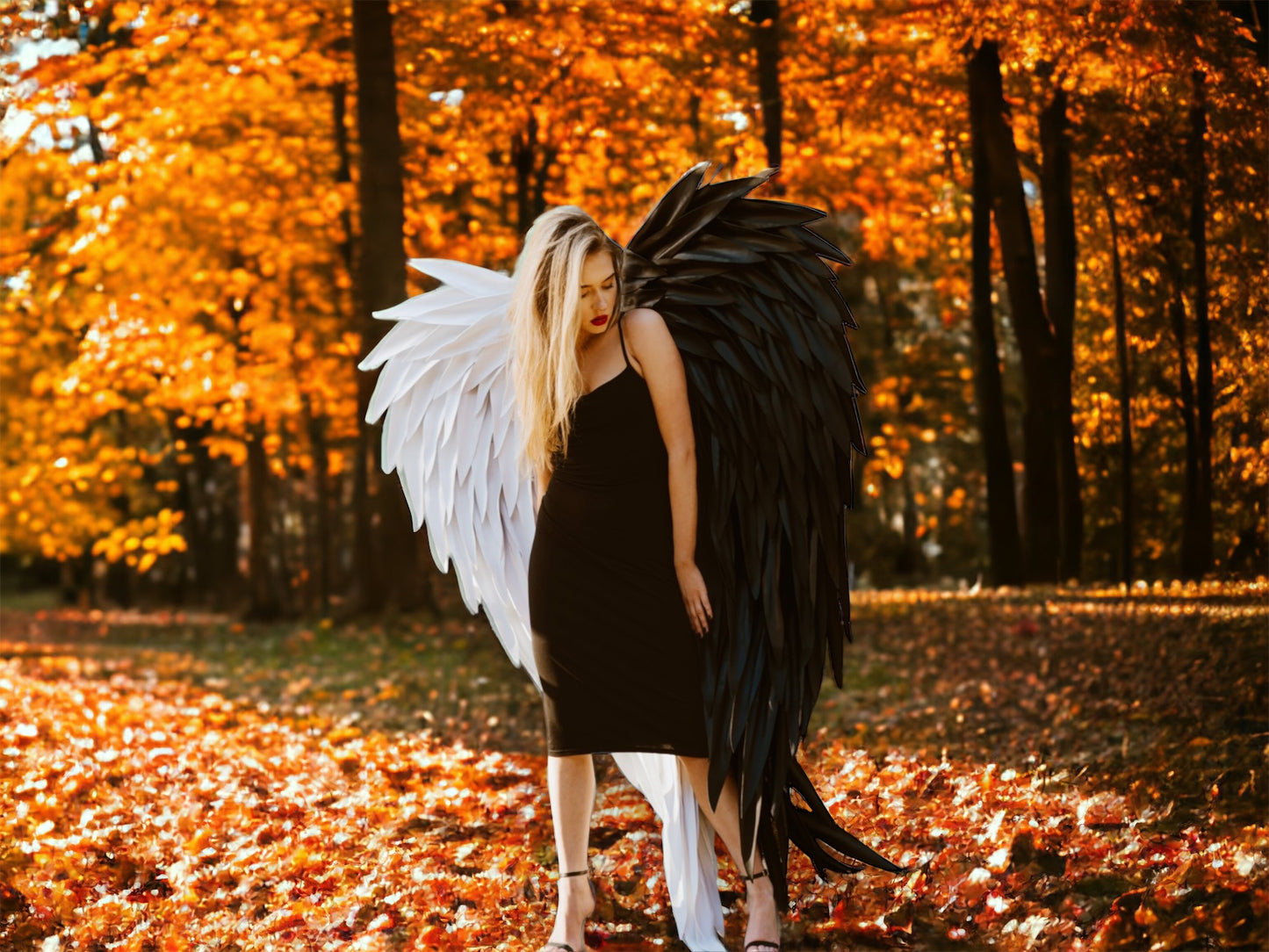 Black/White Angel Wings Cosplay "Bogacci brand"