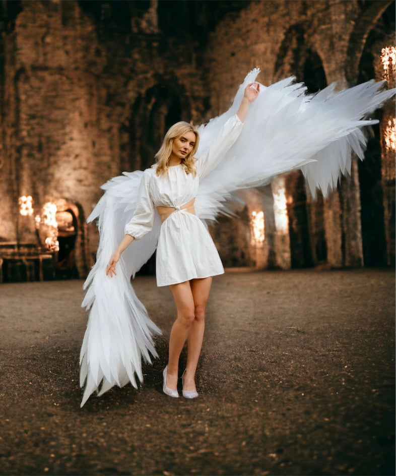 White wings for dancing  "Bogacci brand"