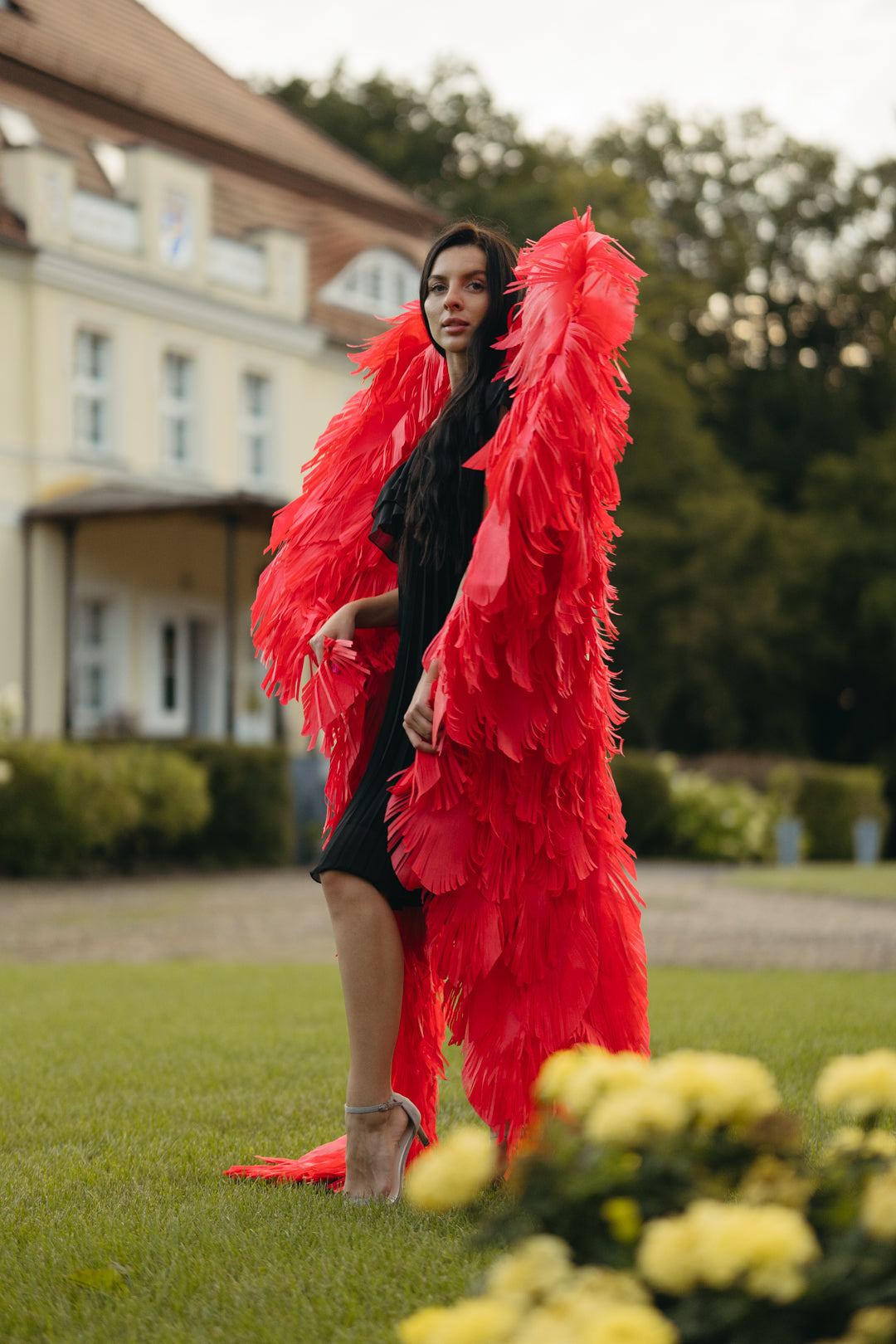 Red Angel Wings Cosplay "Bogacci brand"