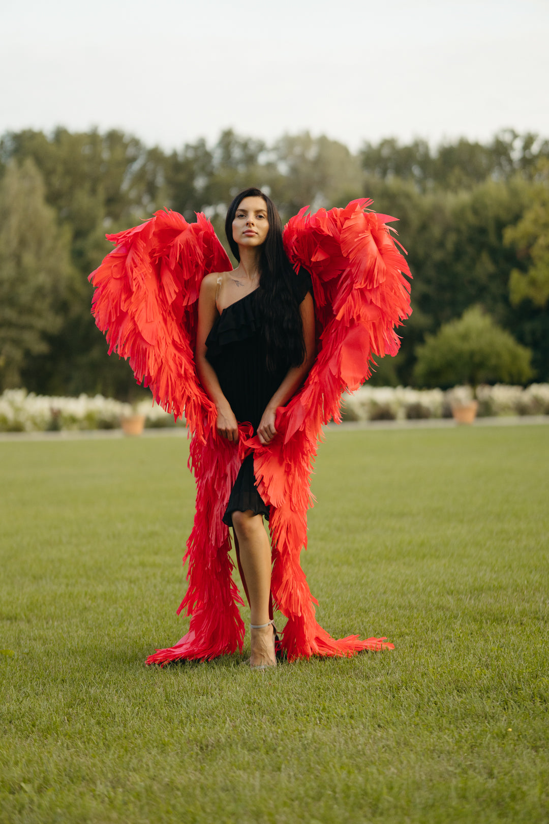 Red Angel Wings Cosplay "Bogacci brand"