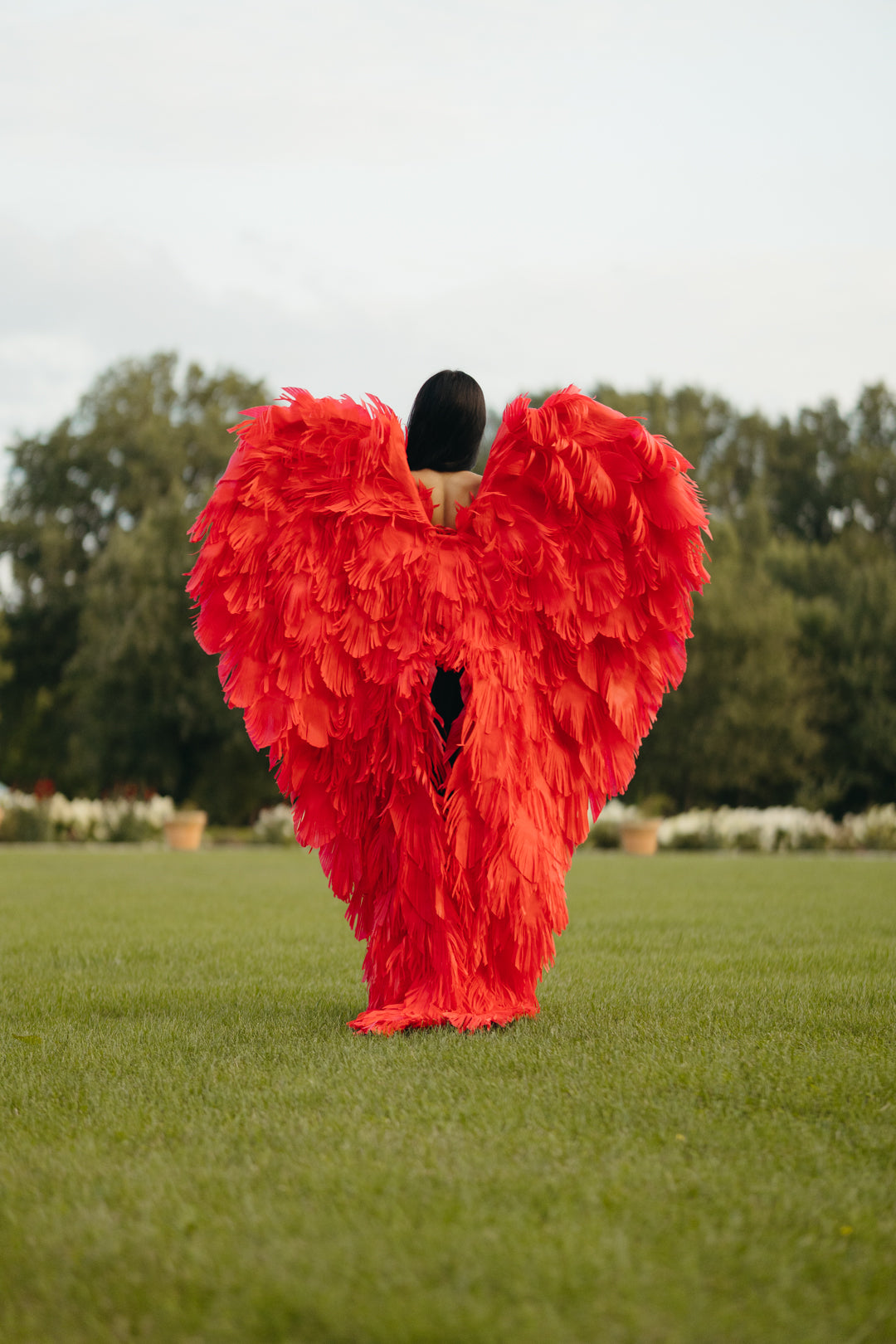 Red Angel Wings Cosplay "Bogacci brand"