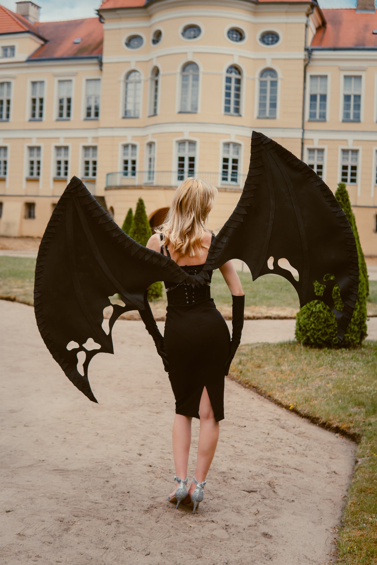 Dragon Wings Costume Cosplay "Bogacci brand"