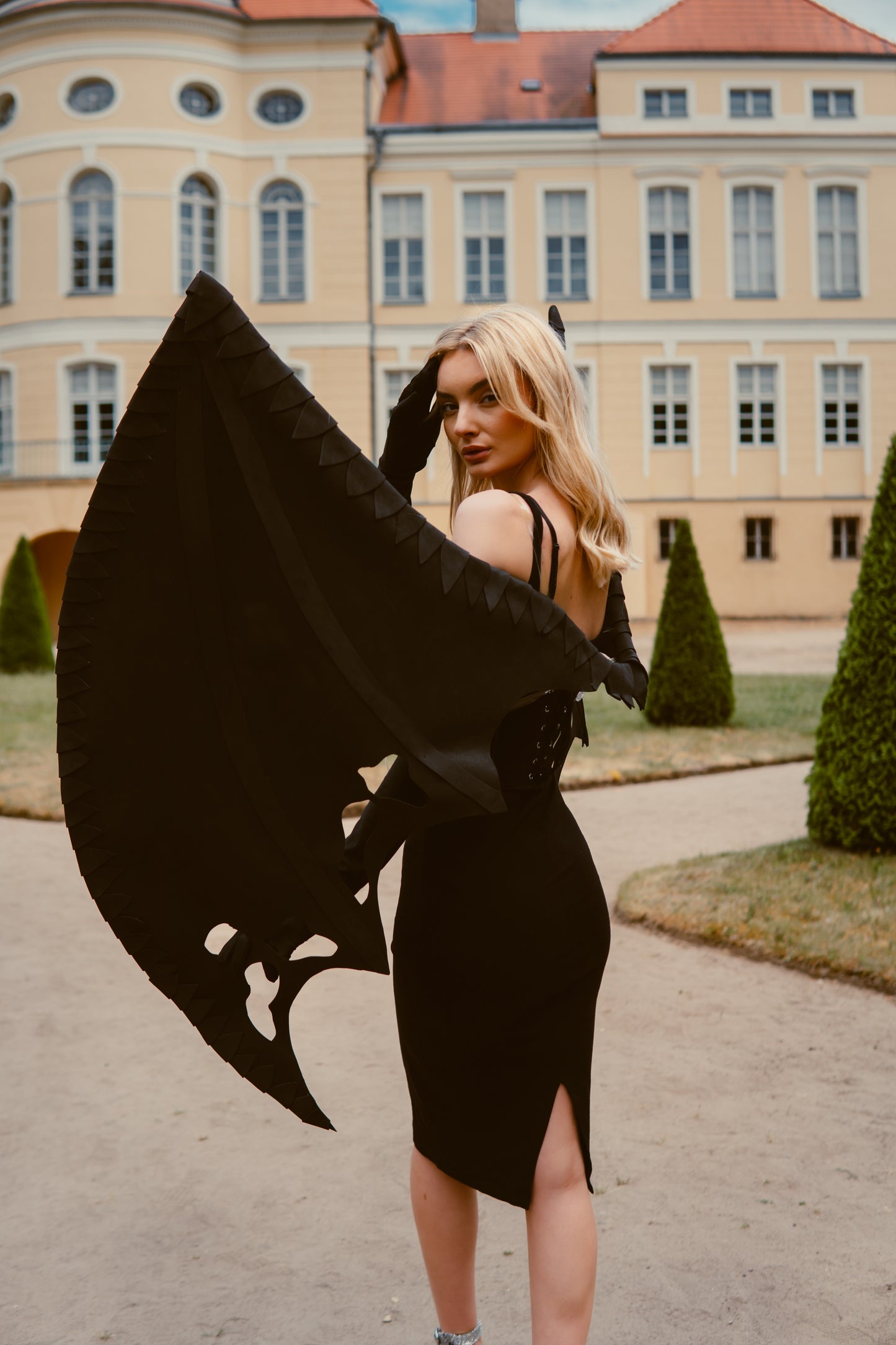 Dragon Wings Costume Cosplay "Bogacci brand"