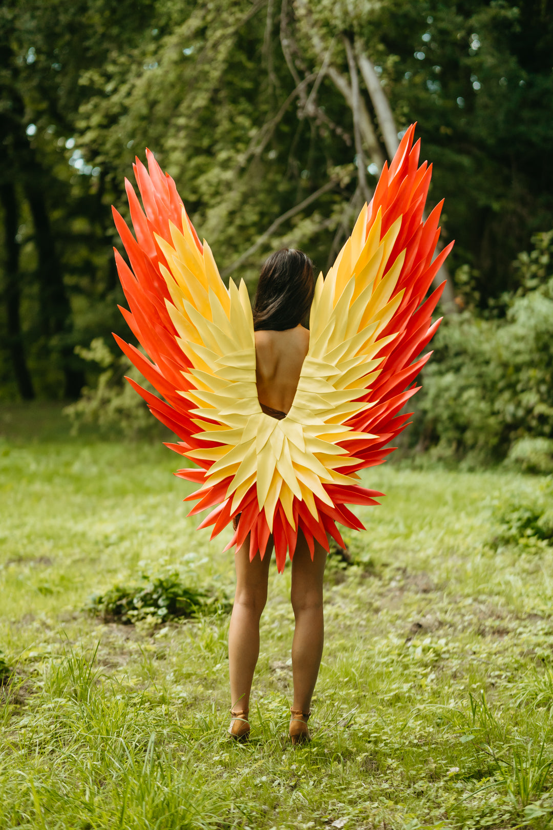 Color Angel Wings Cosplay  "Bogacci brand"