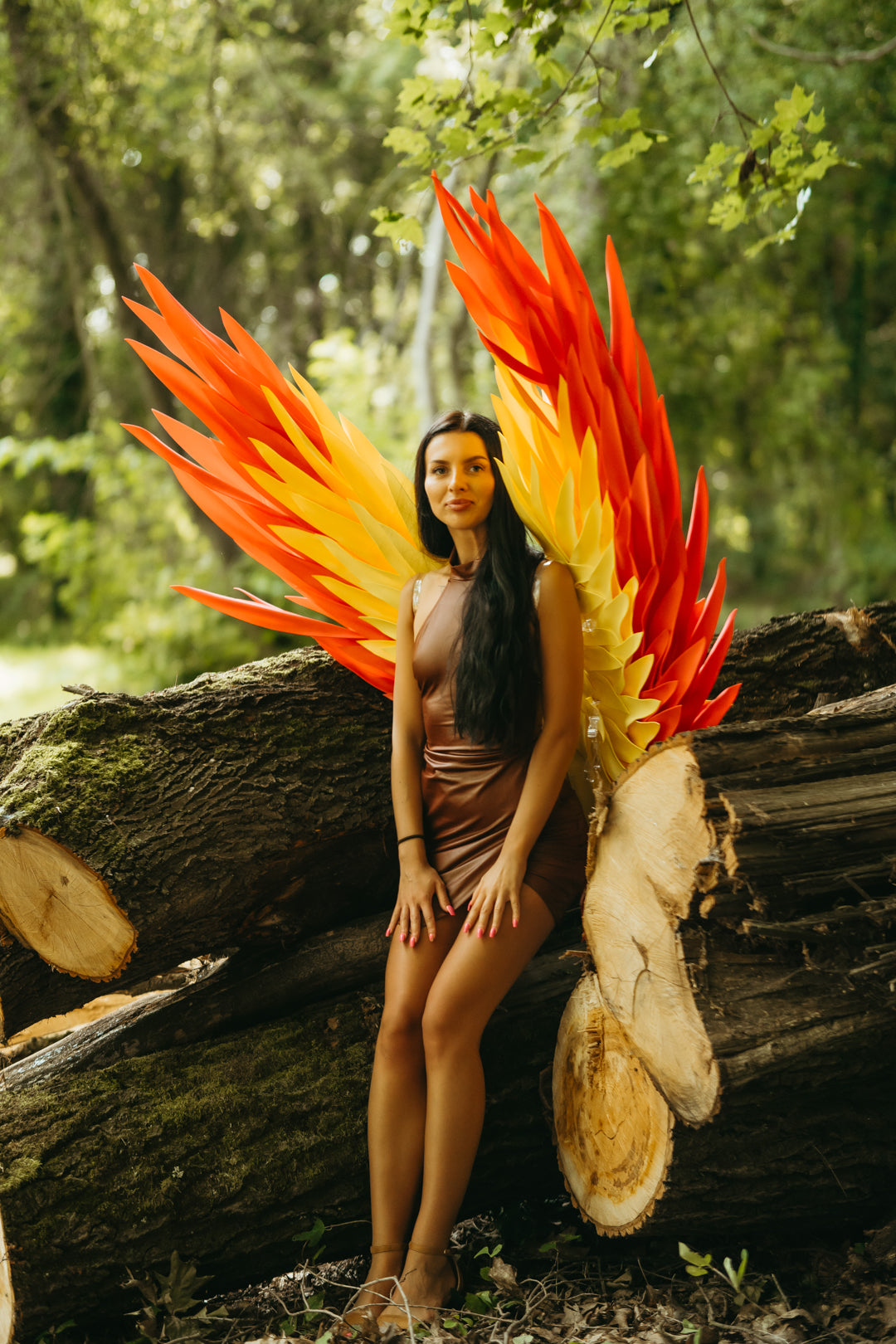 Color Angel Wings Cosplay  "Bogacci brand"