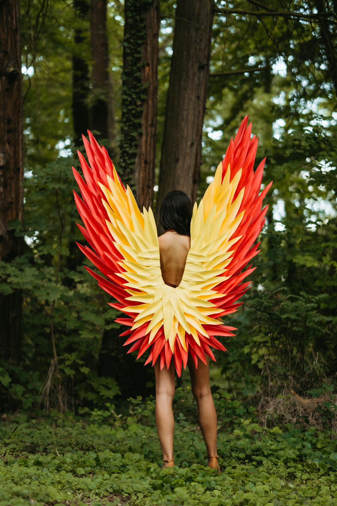 Color Angel Wings Cosplay  "Bogacci brand"