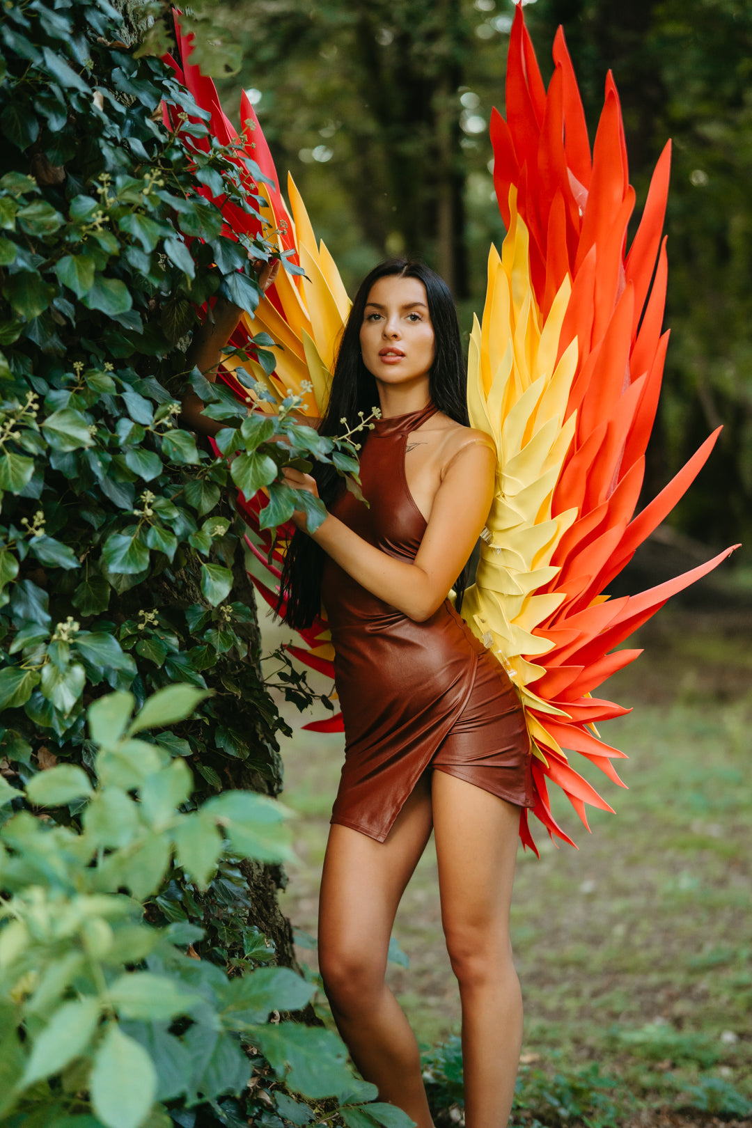 Color Angel Wings Cosplay  "Bogacci brand"