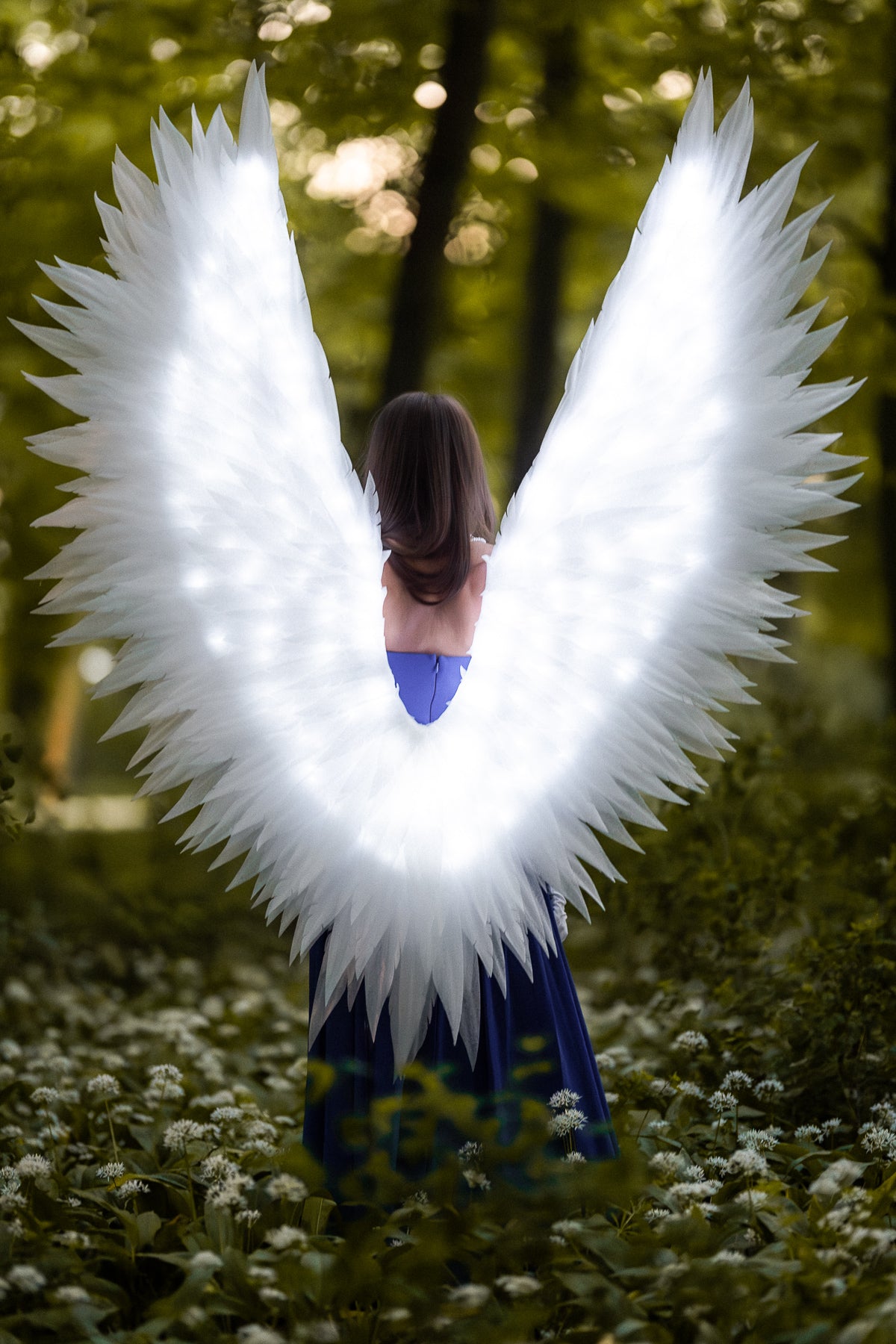 Led large Angel Wings  "Bogacci brand"
