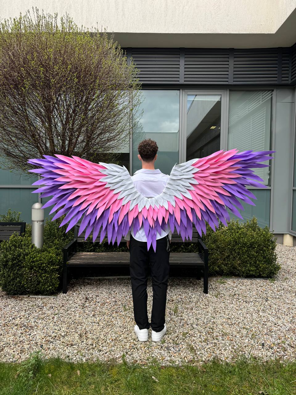 Color Angel Wings Cosplay "Bogacci brand"