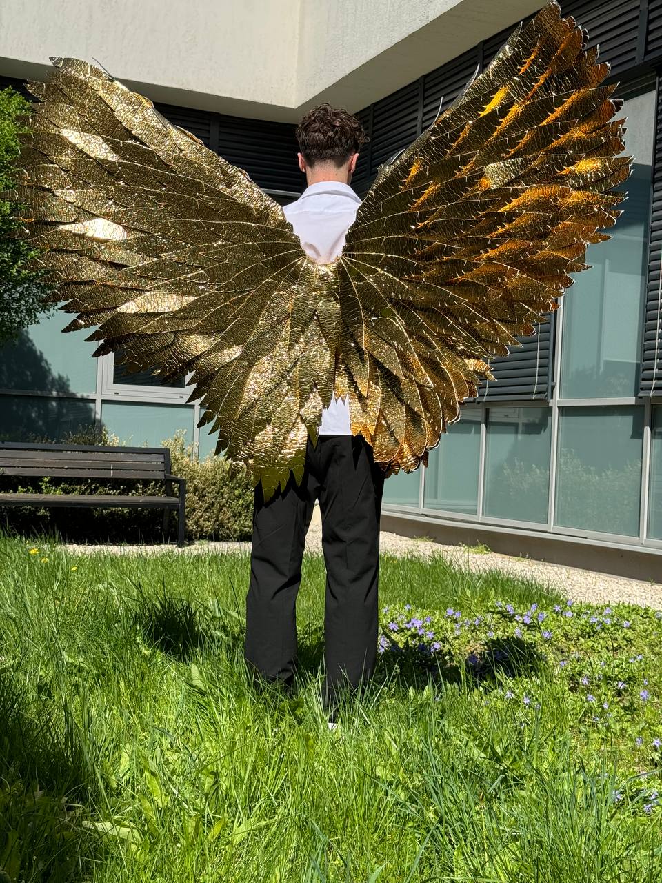 Gold Angel wings costume "Bogacci brand"