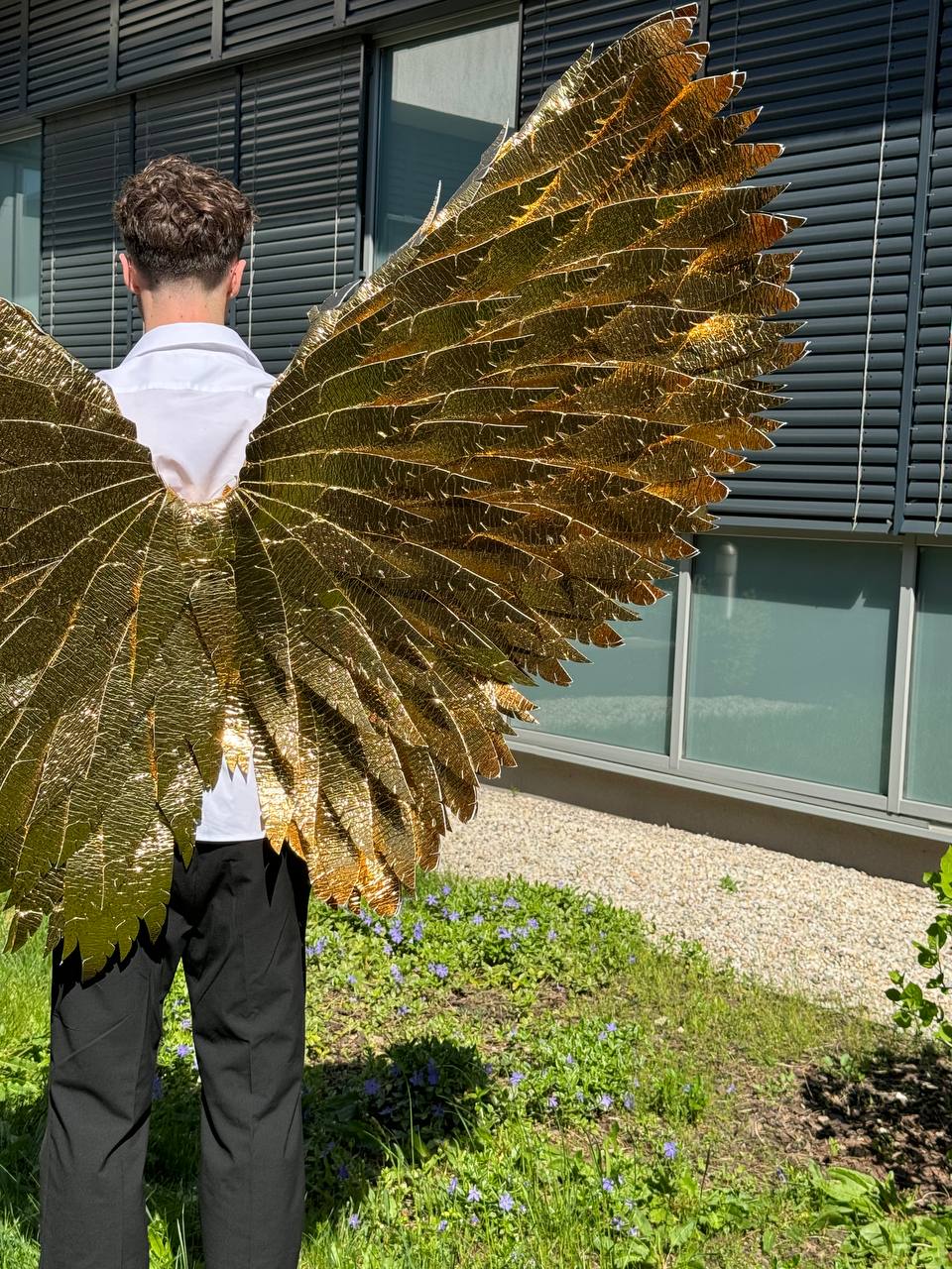 Gold Angel wings costume "Bogacci brand"