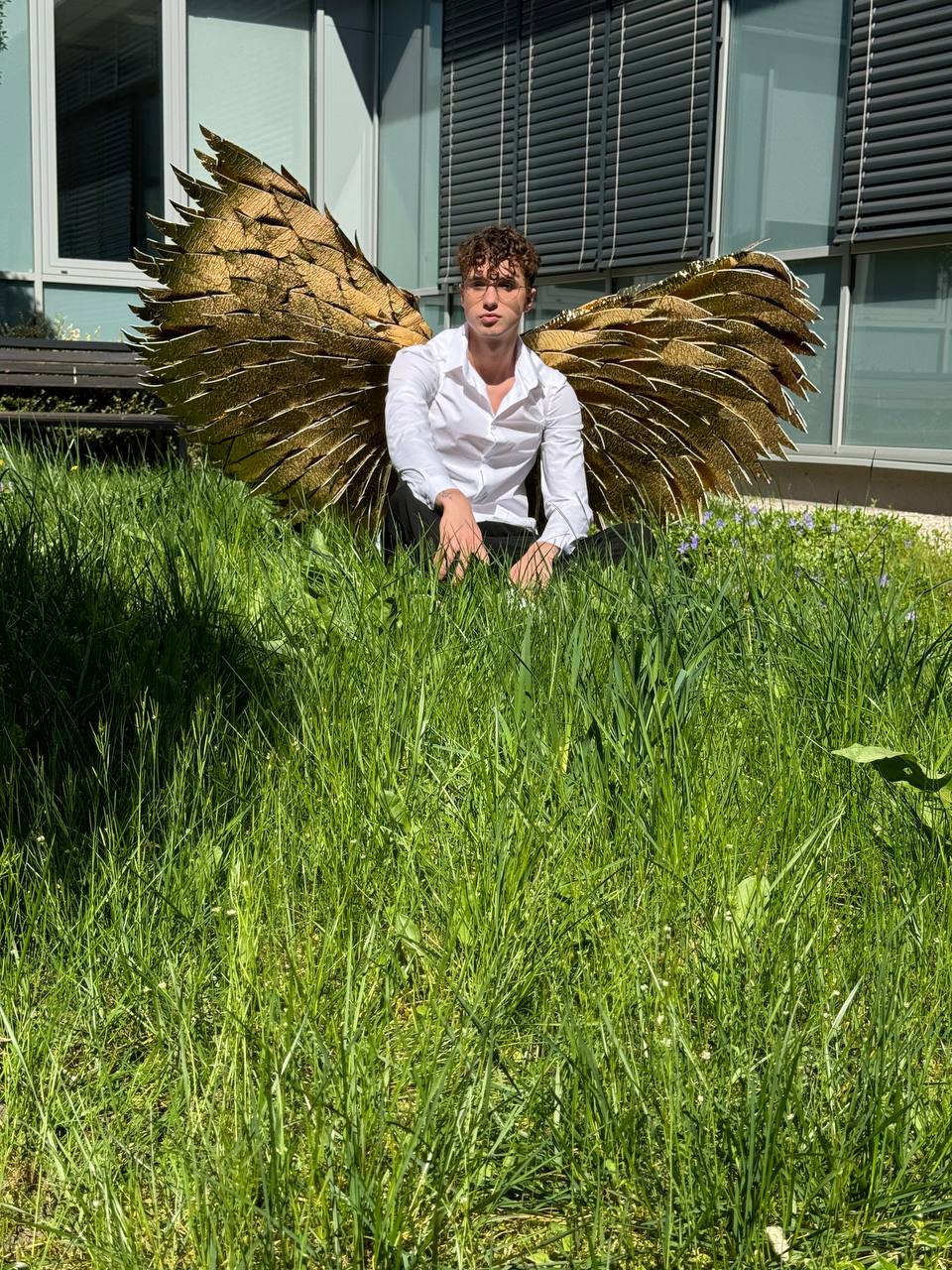 Gold Angel wings costume "Bogacci brand"