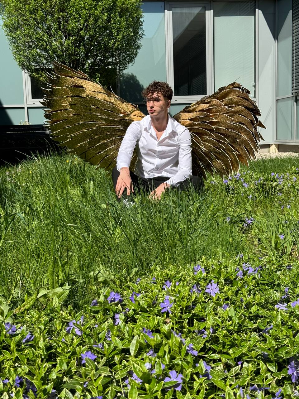 Gold Angel wings costume "Bogacci brand"