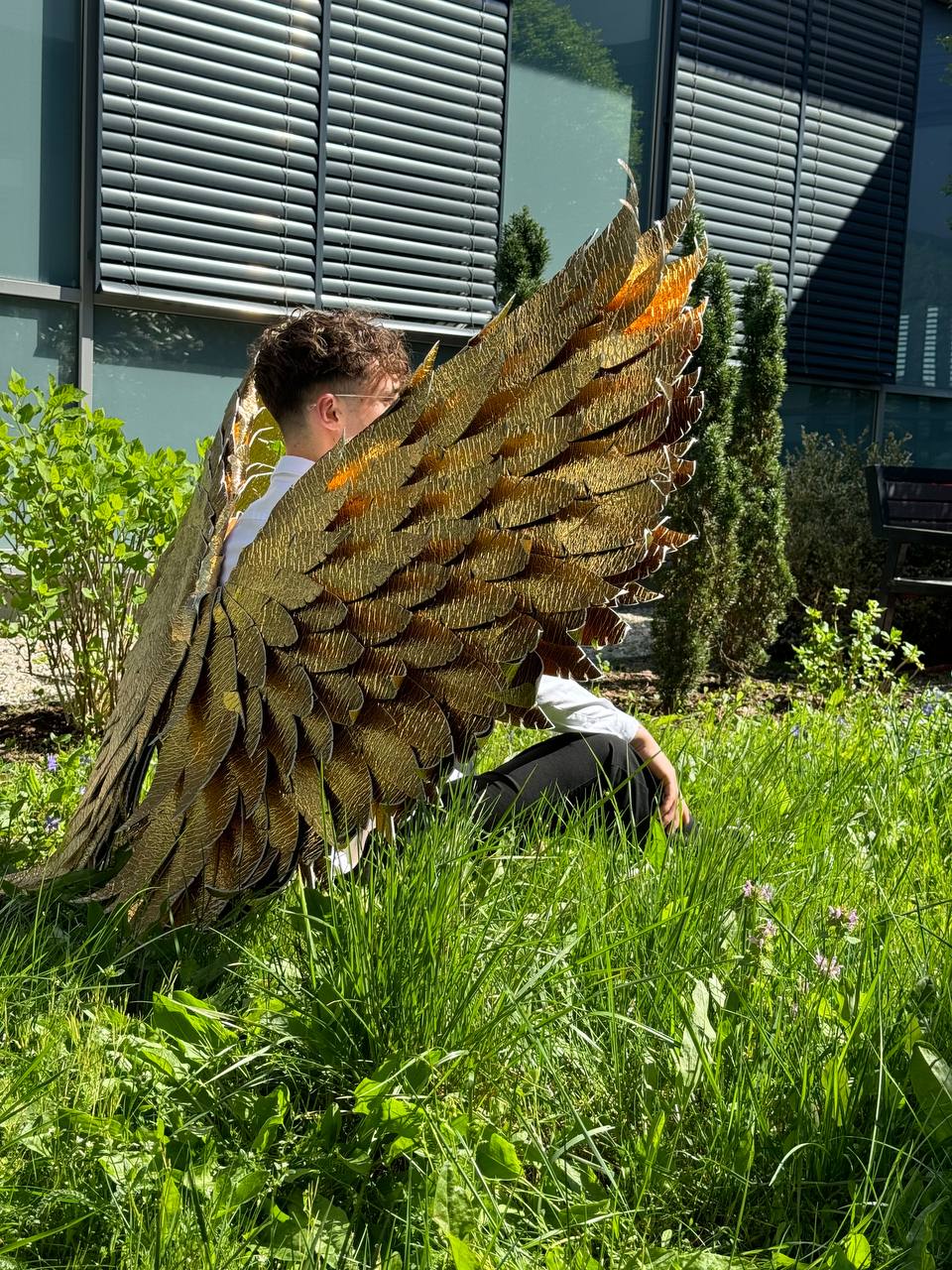 Gold Angel wings costume "Bogacci brand"