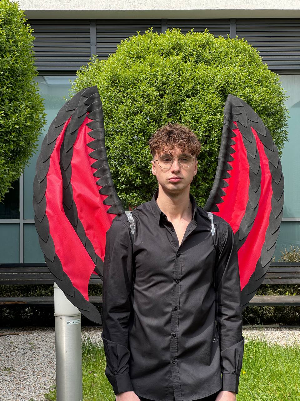 Dragon Wings Black Red Costume Cosplay "Bogacci brand"