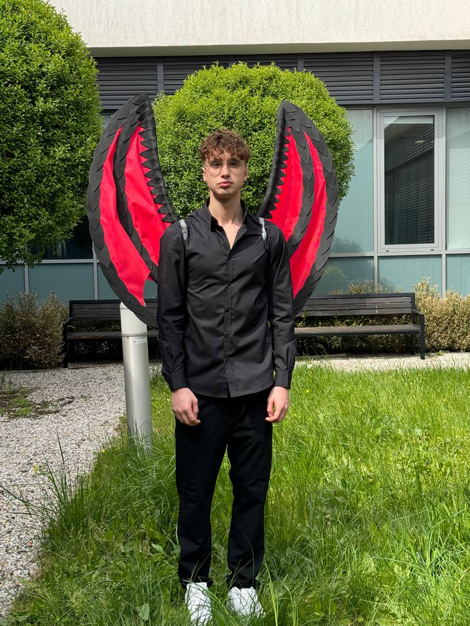 Dragon Wings Black Red Costume Cosplay "Bogacci brand"