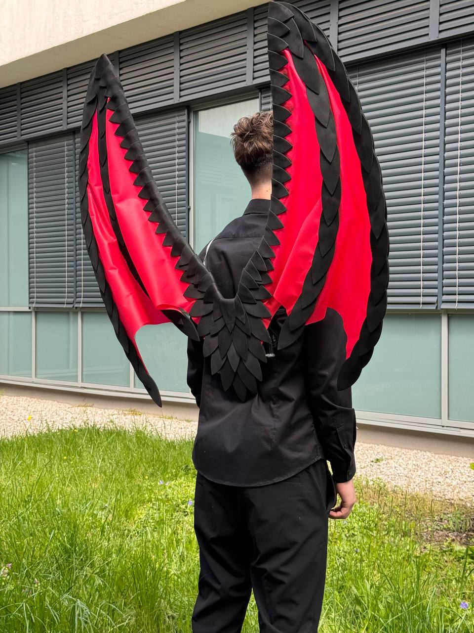 Dragon Wings Black Red Costume Cosplay "Bogacci brand"