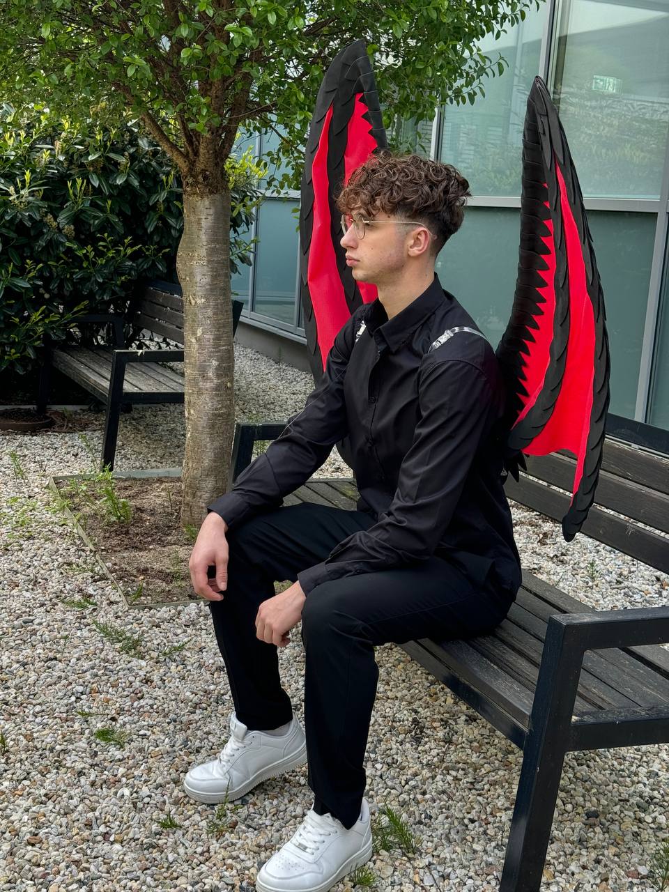 Dragon Wings Black Red Costume Cosplay "Bogacci brand"