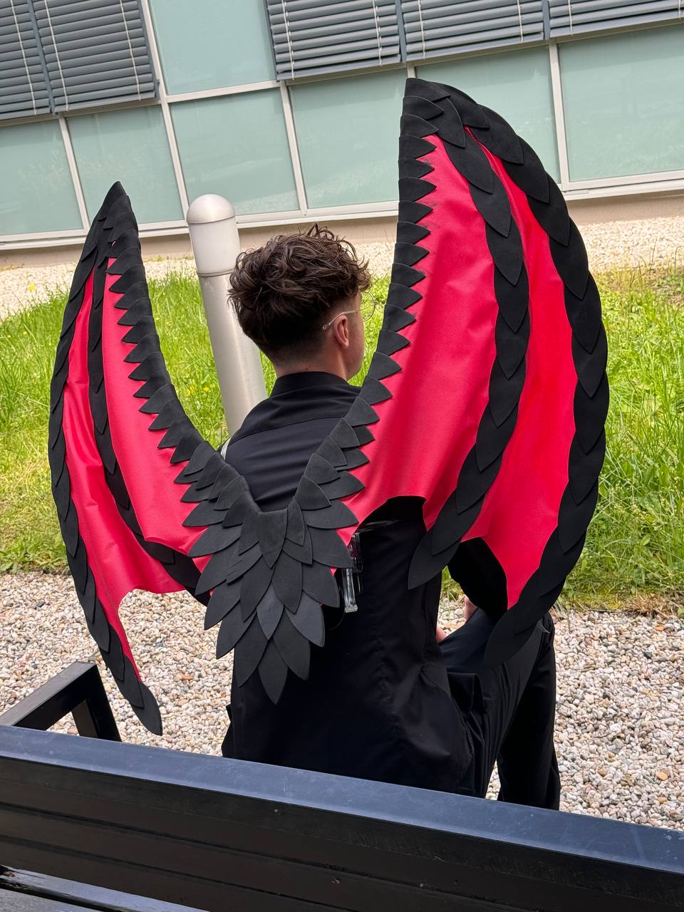 Dragon Wings Black Red Costume Cosplay "Bogacci brand"