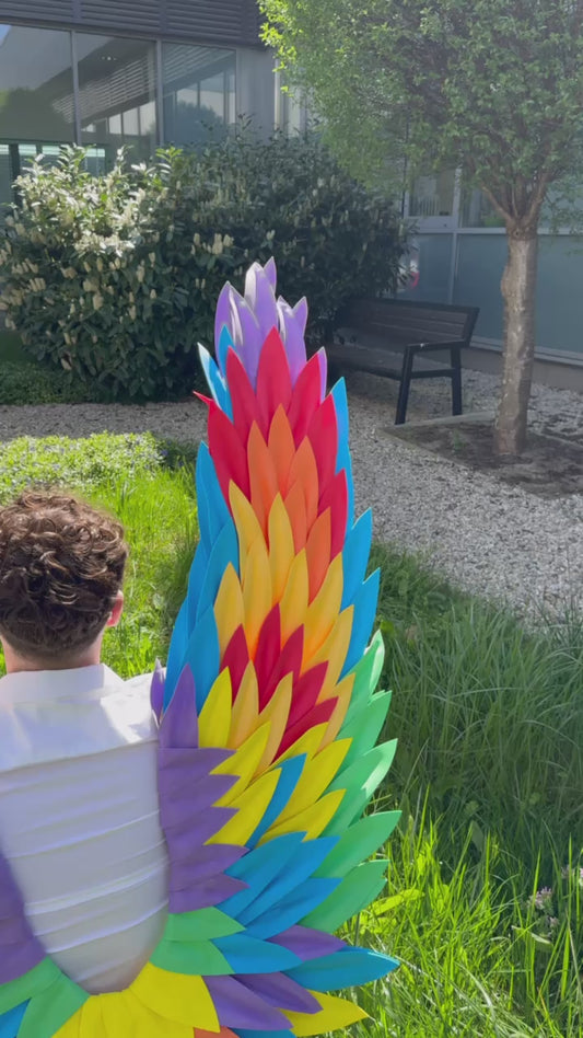 Rainbow Wings Cosplay "Bogacci brand"