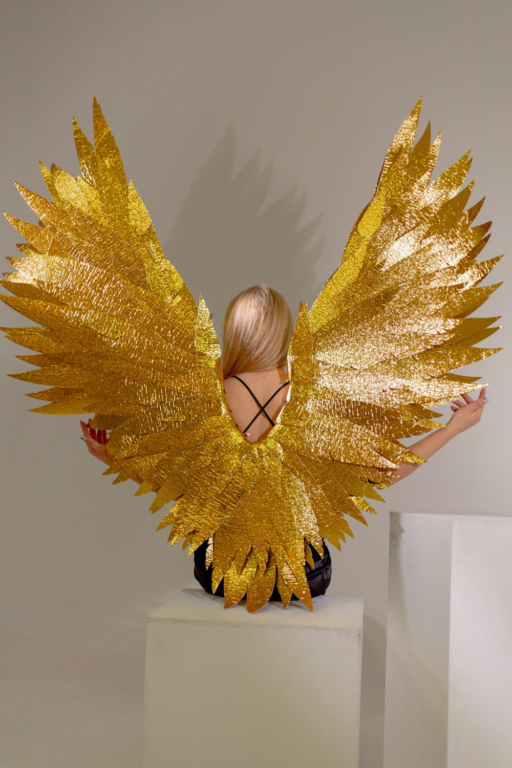 Cosplay ailes d'ange gris "marque Bogacci"