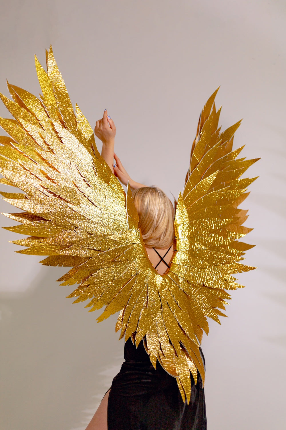 Cosplay ailes d'ange gris "marque Bogacci"